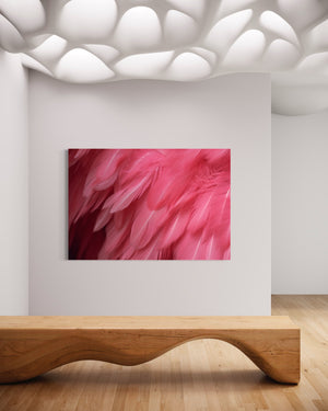 Pink Feather - Acrylglas