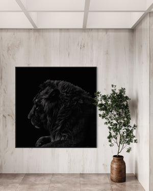 Black Lion - Textilspannrahmen